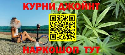 сатива Будённовск