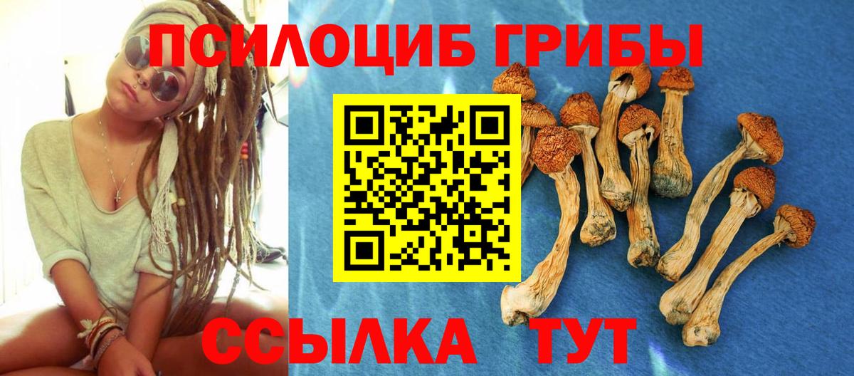 Сунжа  Галлюциногенные грибы ЛСД  Вход с VPN 