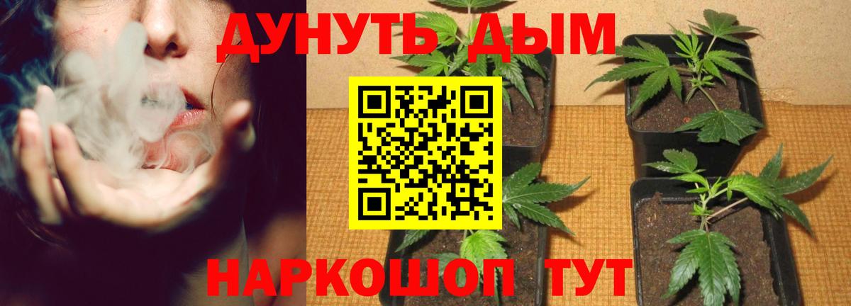 Сунжа  Марихуана MAZAR  МАРИХУАНА Ganja  Вход с VPN  Каннабис THC 21%  Шишки марихуана AK-47 